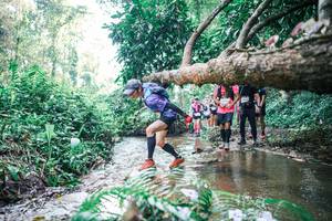 BIB: 
                            <button type="button" onclick="openModal(25453303)" class="btn btn-primary btn-sm float-right btn-popup" data-toggle="modal" data-target=".modal-high-quality">
                        <i class="fas fa-shopping-cart"></i> Add to Cart
                    </button>
                                            <button type="button" onclick="isThisMe(25453303, true)" class="btn btn-success btn-sm float-right btn-popup btn-isme hidden" data-toggle="tooltip" data-placement="bottom" title="นี่คือรูปของคุณใช่ไหม คลิกที่นี่เพื่อเอาเข้าอัลบั้ม">
                        <i class="fas fa-plus"></i> Add to album
                    </button>
                    <button type="button" onclick="isThisMe(25453303, false)" class="btn btn-warning btn-sm float-right btn-popup btn-isnotme hidden">
                        <i class="fas fa-ban"></i> Remove from album
                    </button>